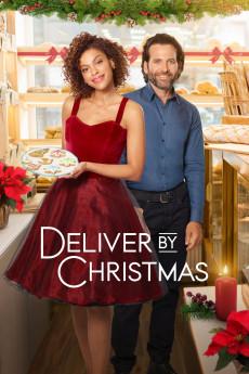 Deliver by Christmas 2020 720p web YTS