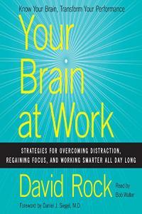 Your Brain at Work David Rock AhLaN