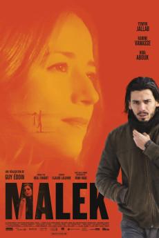 Malek 2019 720p web YTS