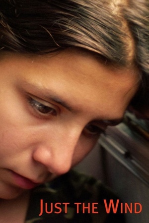 Just the Wind 2012 1080p web YTS