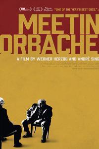 Meeting Gorbachev 2018 DVDRip x264 BiPOLAR TGx