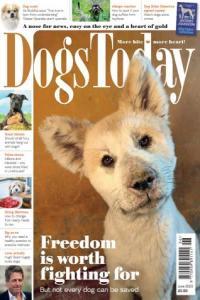 Dogs Today UK June 2023 CourseWikia