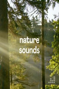 Various Artists Nature Sounds 2023 Mp3 320kbps PMEDIA