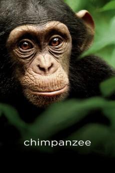 Chimpanzee 2012 720p bluray YTS