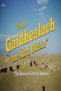 BBC The Highland Cattle of Ardbhan 1080p h266 AAC MVGroup Forum mp4