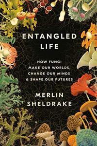 Entangled Life How Fungi Make Our Worlds Change Our Minds Shape Our Futures by Merlin Sheldr