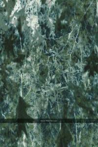 Voices from The Lake Voices from the Lake 2023 Edition 2023 Mp3 320kbps PMEDIA