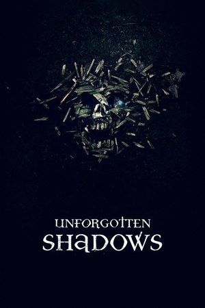 Unforgotten Shadows 2013 1080p web YTS