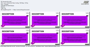 Udemy Approaching Accessibility with WCAG Compliance