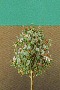 americana country 2022 Grady Spencer the Work Wait FLAC DarkAngie