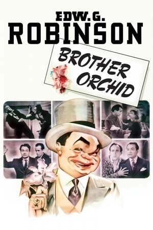 Brother Orchid 1940 1080p web YTS