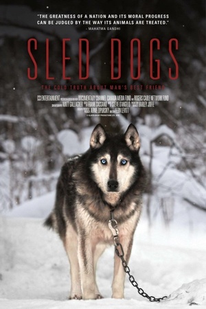 Sled Dogs 2016 1080p web YTS