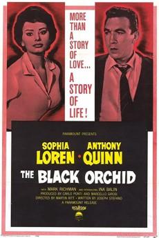 The Black Orchid 1958 720p web YTS