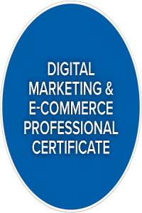 Coursera Google Digital Marketing E commerce Professional Certificate FCO