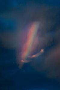 Pool Kids Pool Kids 2022 Mp3 320kbps PMEDIA