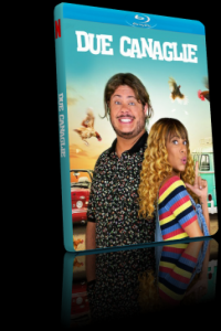 Due canaglie Get the grift 2021 ITA POR Ac3 5 1 sub ita WebRip 1080p H264 ArMor