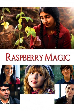 Raspberry Magic 2010 1080p web YTS