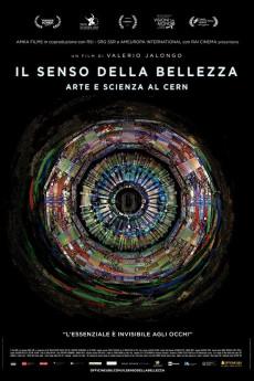 CERN & The Sense of Beauty 2017 3D web YTS