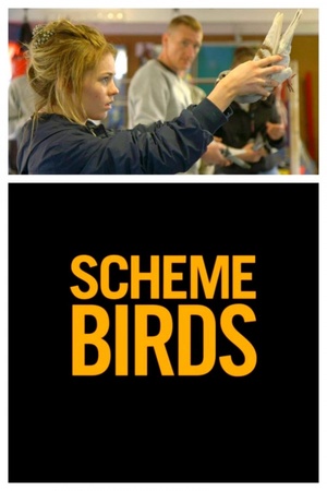 Scheme Birds 2019 1080p web YTS