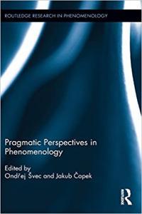 Pragmatic Perspectives in Phenomenology DevCourseWeb