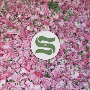 Braxe Falcon Step By Step Remixes 2023 24Bit 44 1kHz FLAC PMEDIA