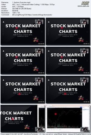 Udemy Algorithmic Trading Intro Stock Charts Momentum Strategy