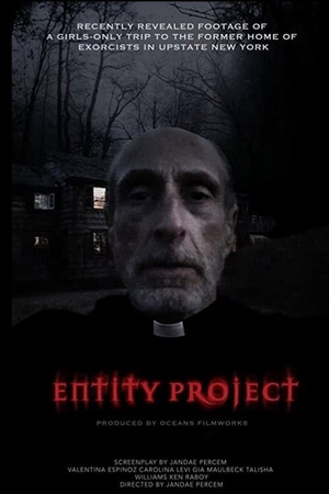 Entity Project 2019 1080p web YTS