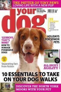 Your Dog Magazine June 2023 DevCourseWeb
