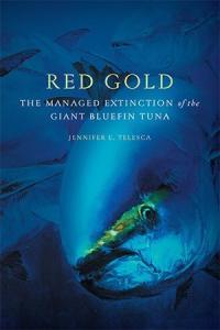 Red Gold The Managed Extinction of the Giant Bluefin Tuna CourseWikia