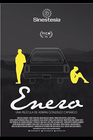 Enero 2015 1080p web YTS