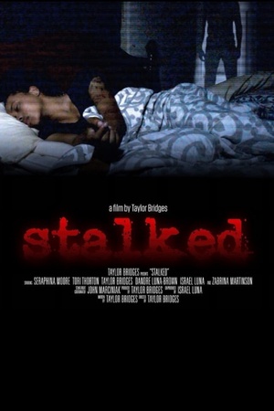 Stalked 2015 1080p web YTS