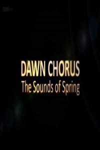BBC Dawn Chorus The Sounds of Spring 1440p HDTV x265 AAC MVGroup org mkv
