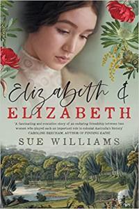 Elizabeth and Elizabeth by Sue Williams EPUB