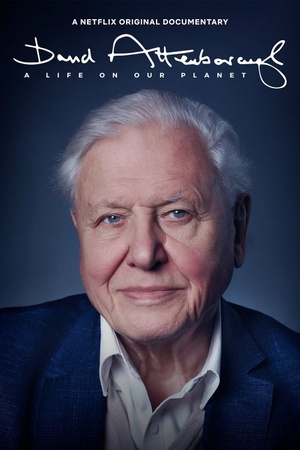 David Attenborough: A Life on Our Planet 2020 1080p web YTS