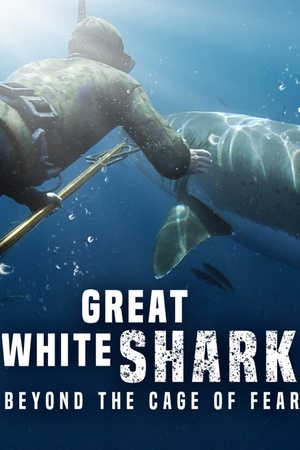 Great White Shark: Beyond the Cage of Fear 2013 1080p web YTS