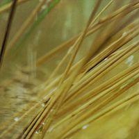 Valley of Flood and Fire S01E01 Emerald Season 1080p AMZN WEB DL DDP2 0 H 264 NTb TGx