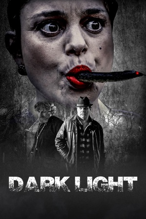 Dark Light 2021 1080p web YTS
