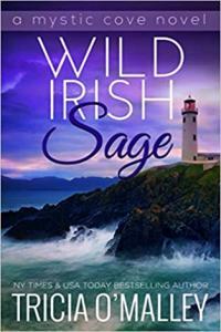 Wild Irish Christmas by Tricia O Malley EPUB