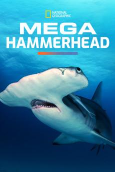 Mega Hammerhead 2016 720p web YTS