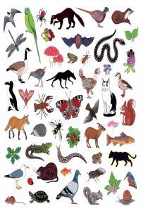 folk rock indie rock 2021 Modern Nature Island of Noise FLAC DarkAngie