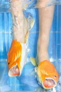 Brockhoff Sharks 2022 24Bit 88 2kHz FLAC PMEDIA