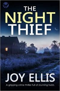 The Night Thief by Joy Ellis EPUB