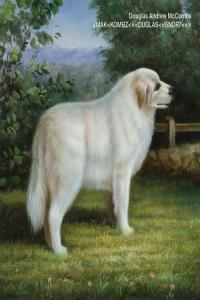 alternative folk experimental 2022 Douglas McCombs VMAK KOMBZ DUGLAS 6NDR7 FLAC DarkAngie