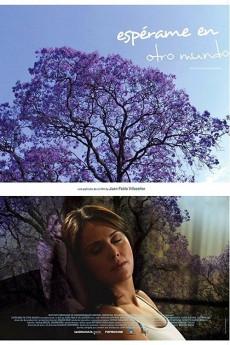 Espérame en otro mundo 2007 720p web YTS
