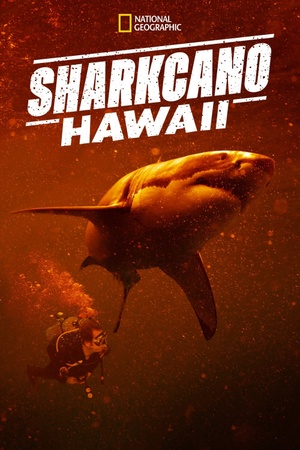 Sharkcano: Hawaii 2023 1080p web YTS