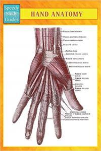 Hand Anatomy Speedy Study Guides BookRAR