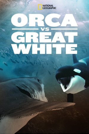 Orca vs. Great White 2021 1080p web YTS
