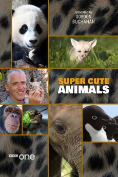 Super Cute Animals 2015 720p web YTS