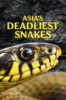 Asia's Deadliest Snakes 2010 720p web YTS
