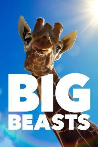 Big Beasts S01 COMPLETE 720p ATVP WEBRip x264 GalaxyTV